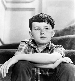 Jerry Mathers 2