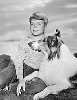 Jon Provost 2